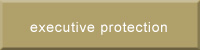 Executive Protection
